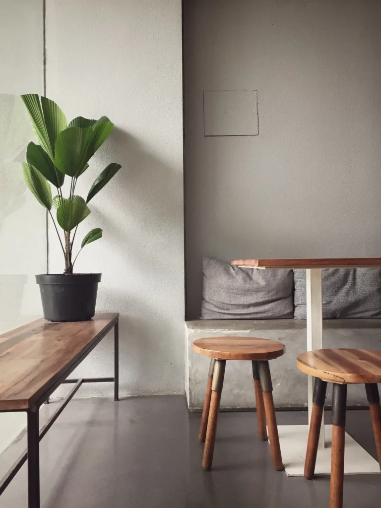 Add Houseplants to Your Home