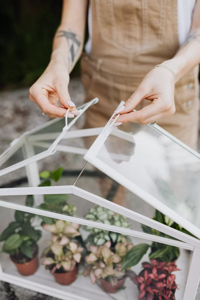 Self-Contained Terrarium